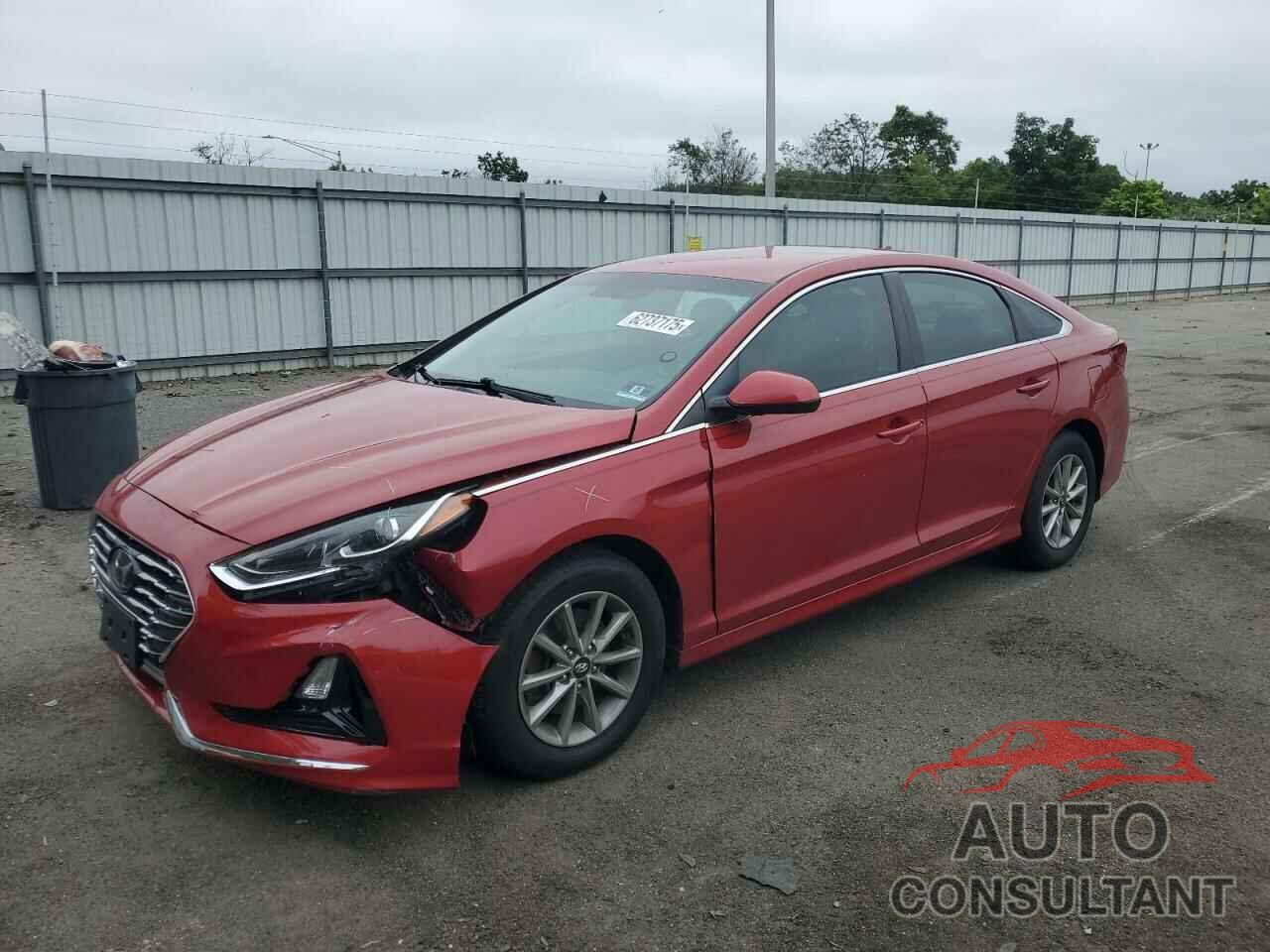 HYUNDAI SONATA 2019 - 5NPE24AF2KH748815
