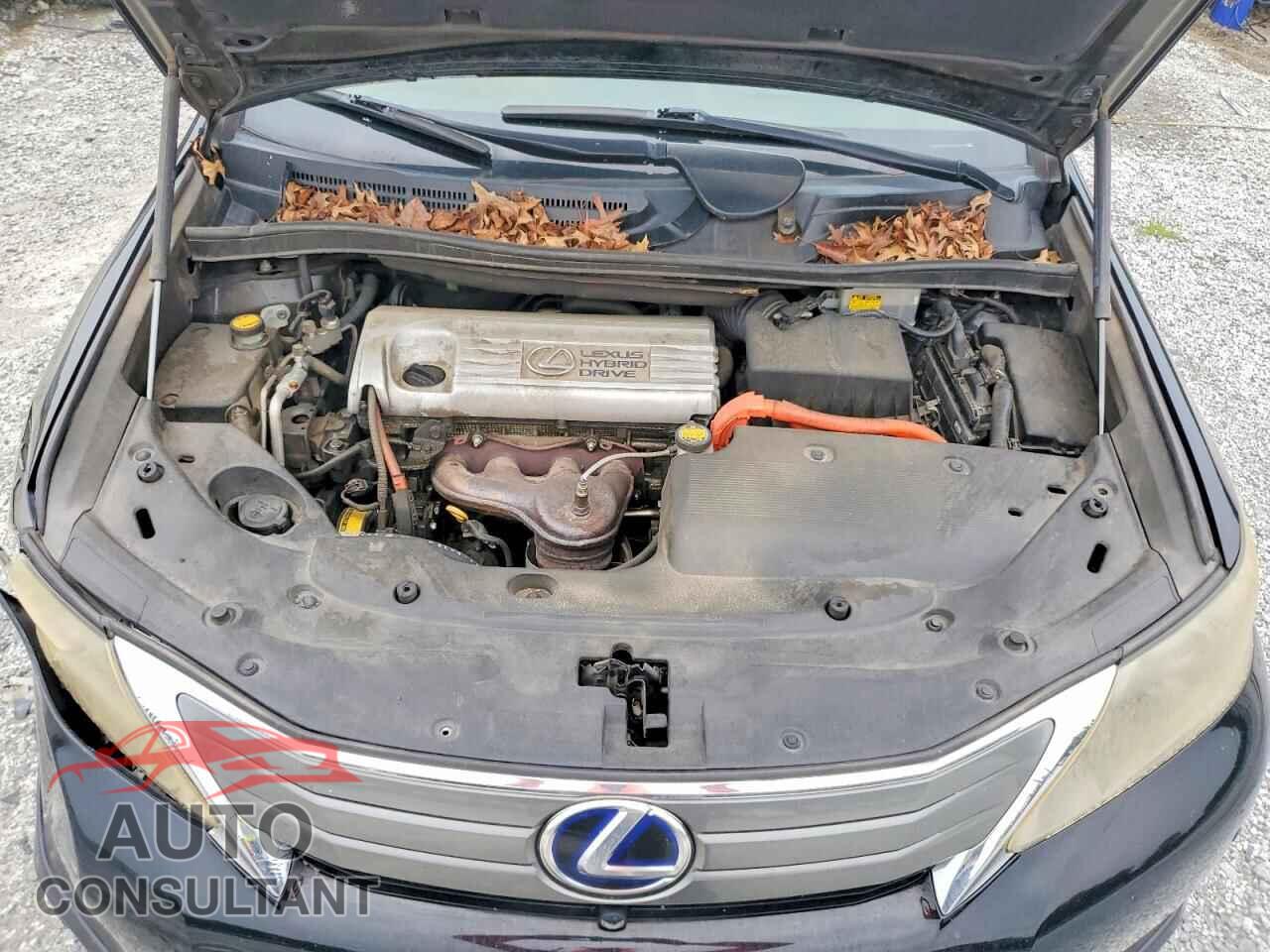 LEXUS HS 2010 - JTHBB1BA5A2004290