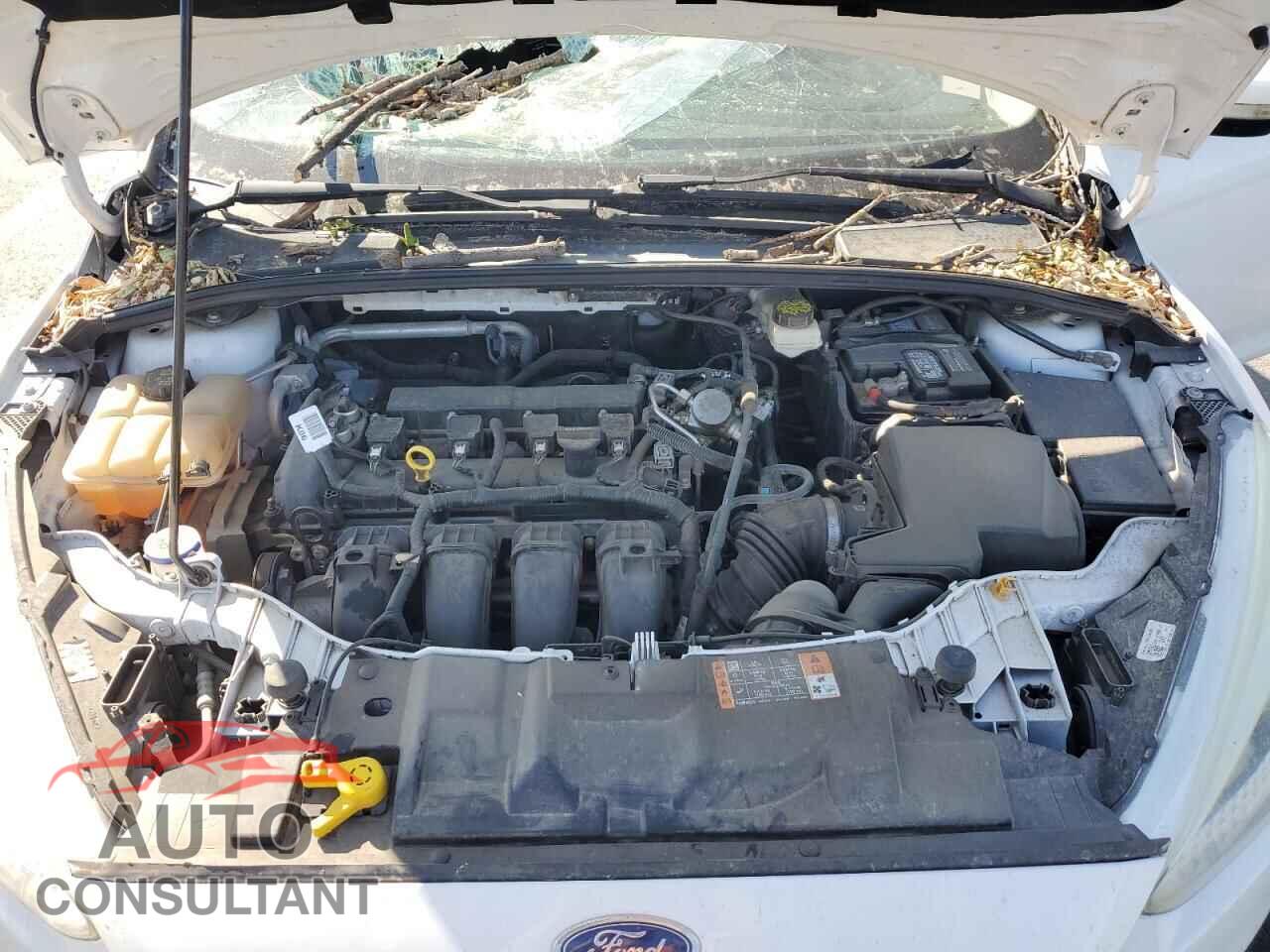 FORD FOCUS 2017 - 1FADP3F21HL315851