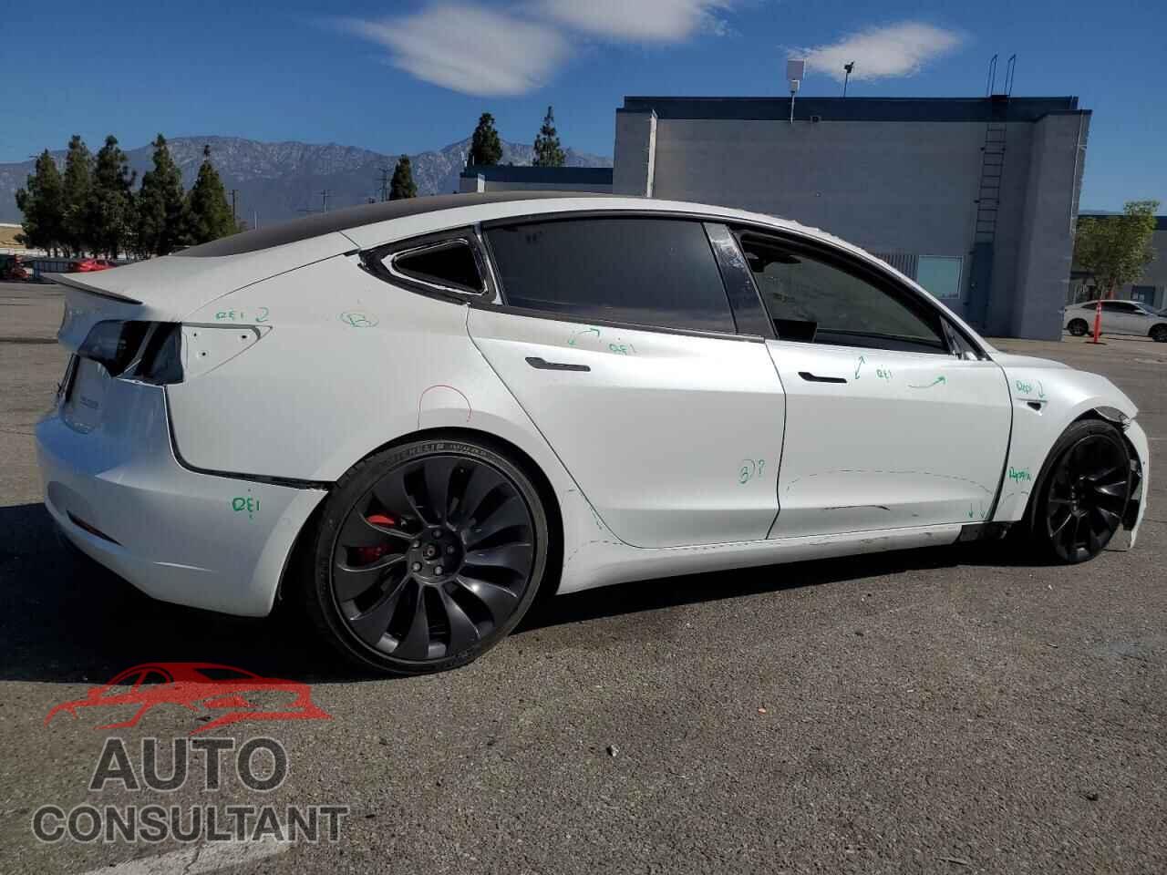 TESLA MODEL 3 2021 - 5YJ3E1EC1MF876249