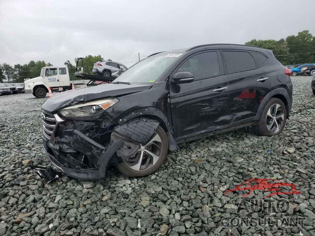 HYUNDAI TUCSON 2016 - KM8J33A24GU222066