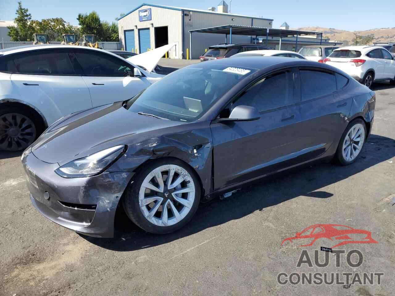 TESLA MODEL 3 2022 - 5YJ3E1EB5NF131738