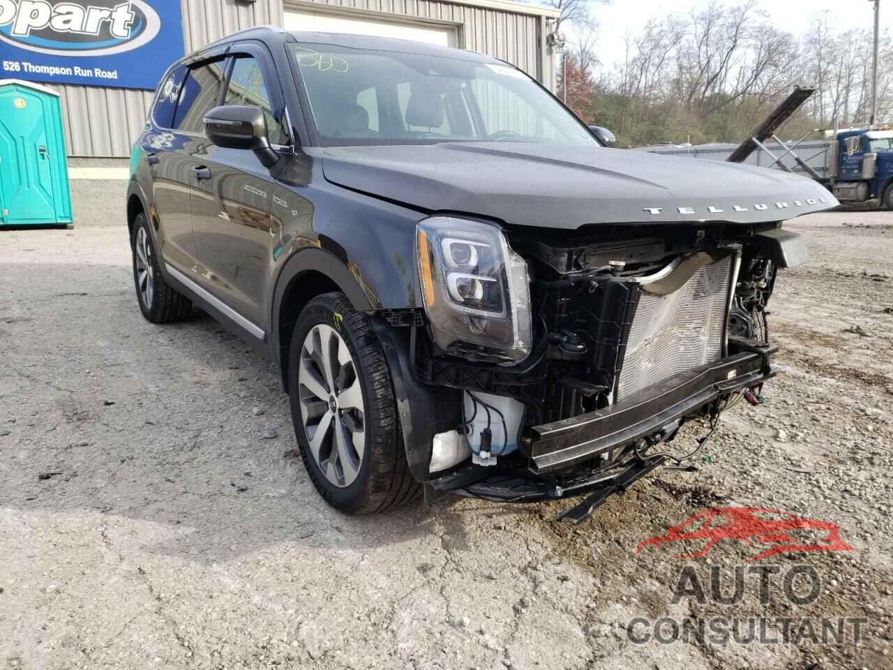 KIA TELLURIDE 2021 - 5XYP3DHC5MG115480