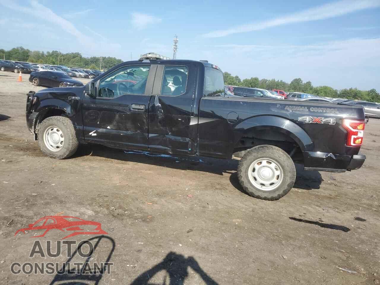 FORD F-150 2019 - 1FTFX1E59KFA36995
