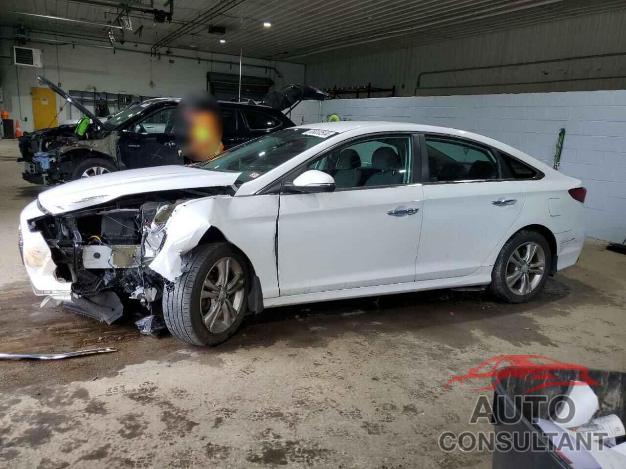 HYUNDAI SONATA 2019 - 5NPE34AF3KH792013