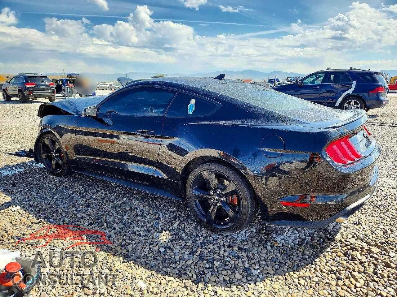 FORD MUSTANG 2021 - 1FA6P8TH5M5147564