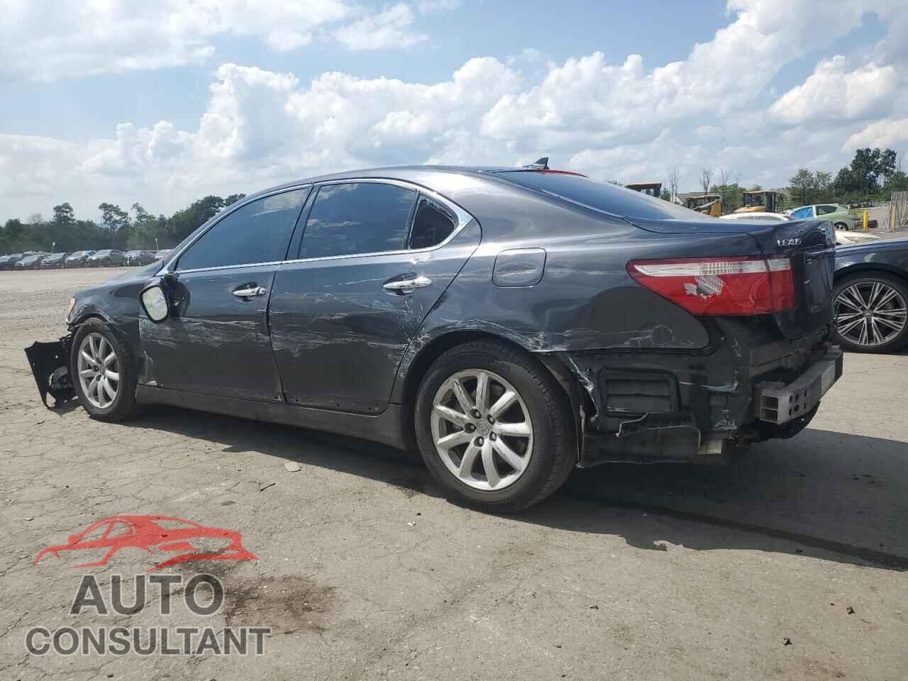 LEXUS LS460 2009 - JTHCL46F595000145