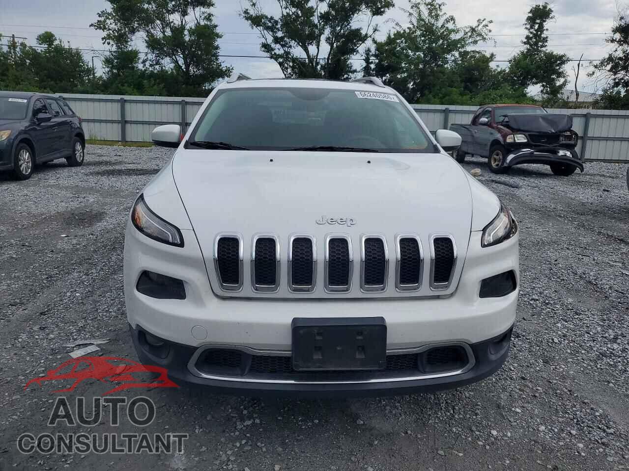 JEEP CHEROKEE 2014 - 1C4PJMDS6EW166770
