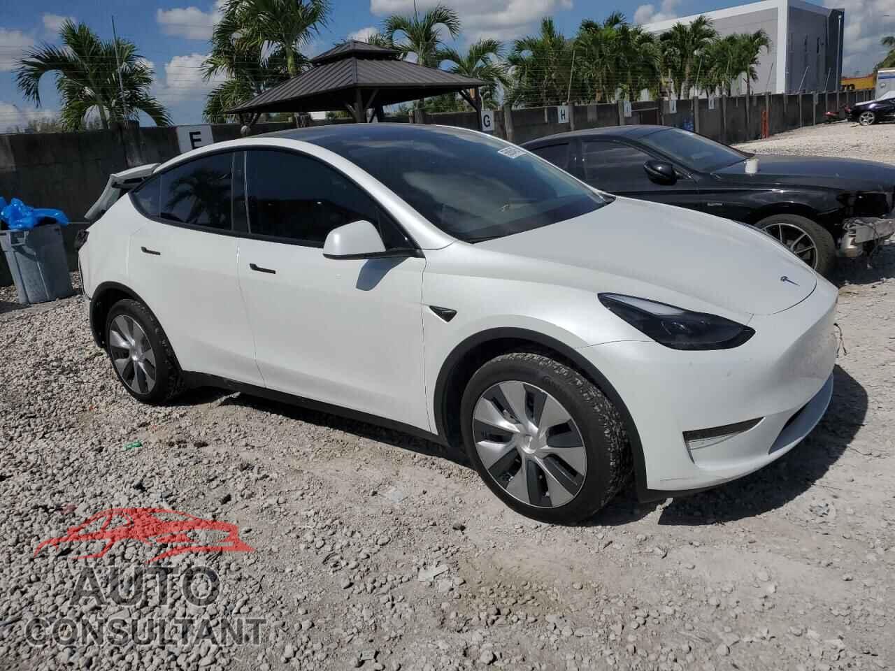 TESLA MODEL Y 2024 - 7SAYGDED2RF010239