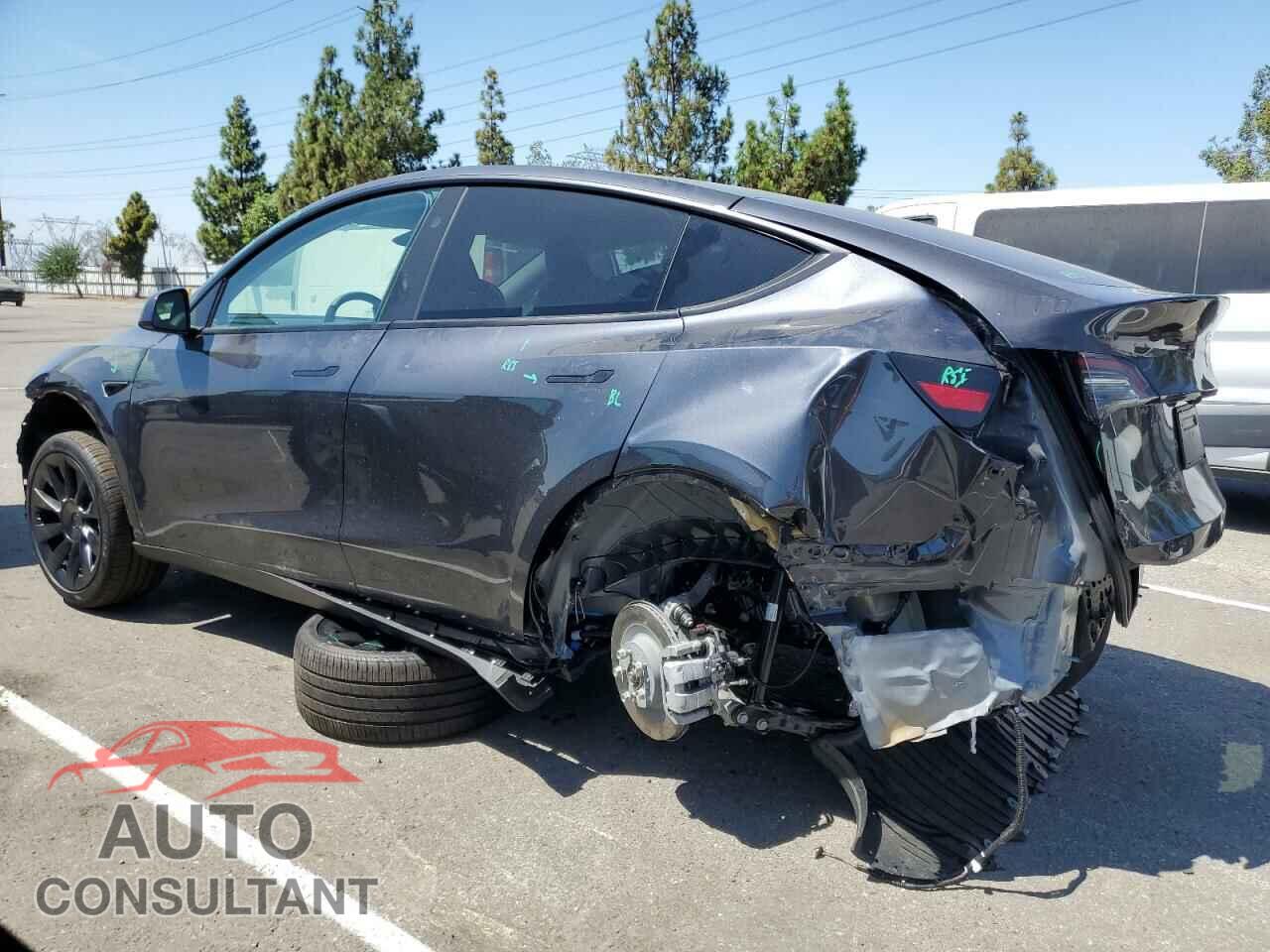 TESLA MODEL Y 2024 - 7SAYGAEE3RF074975