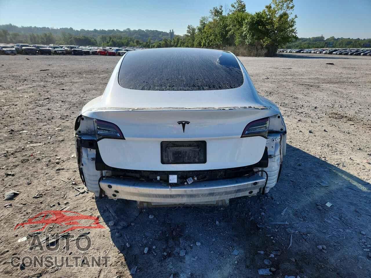 TESLA MODEL 3 2021 - 5YJ3E1EB3MF856057