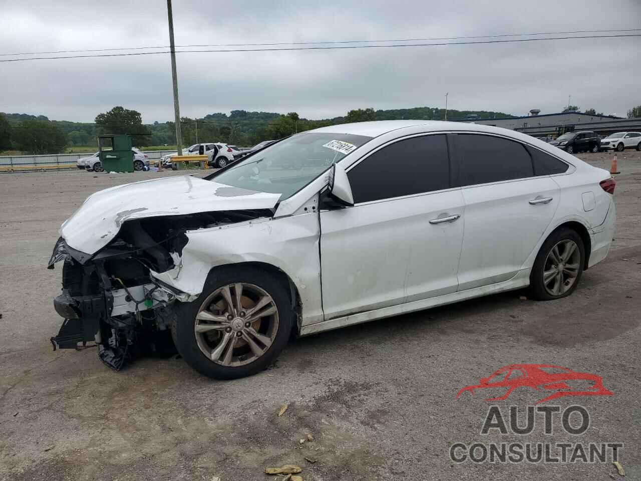 HYUNDAI SONATA 2019 - 5NPE34AF4KH758498