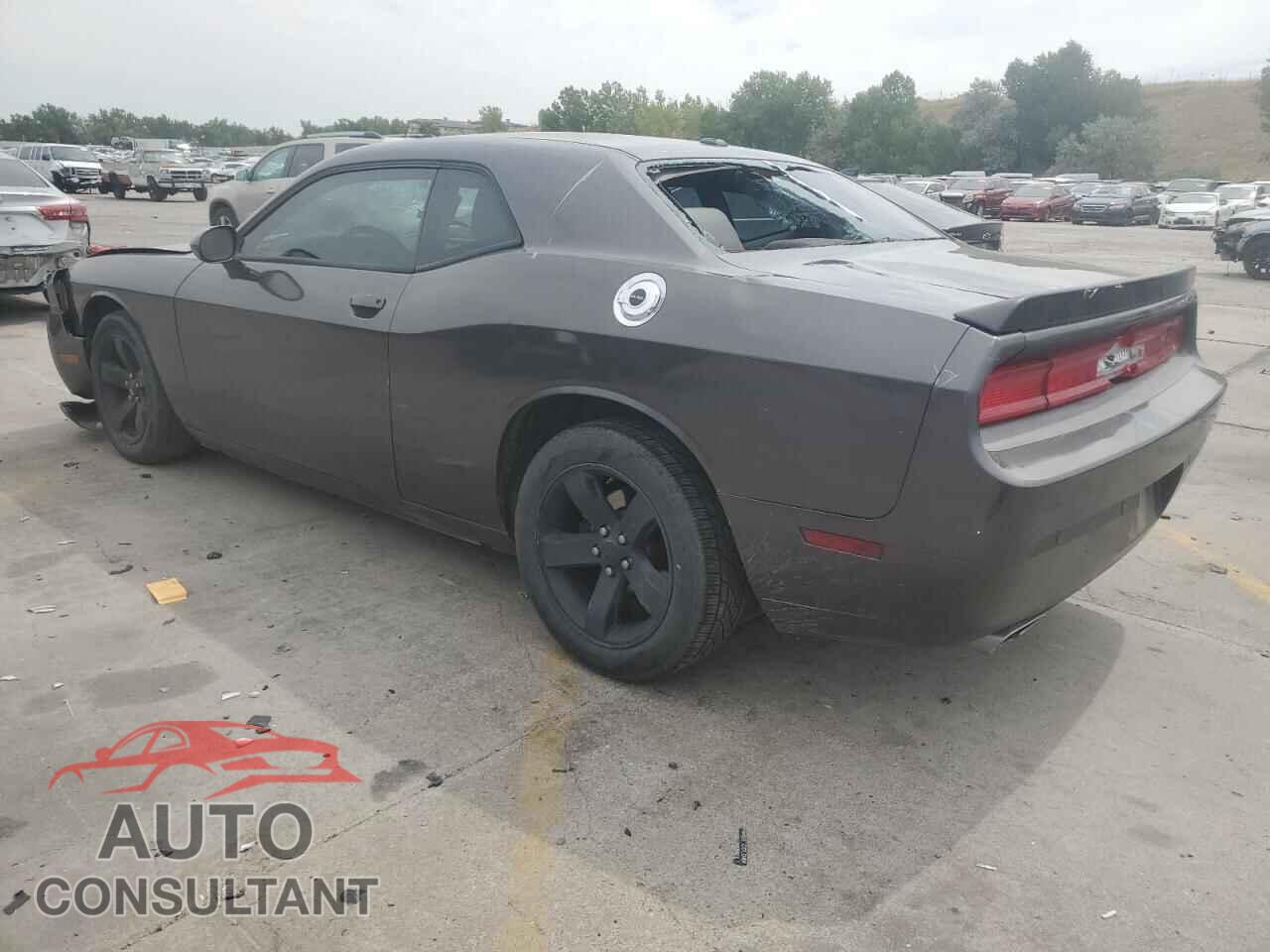 DODGE CHALLENGER 2013 - 2C3CDYAG6DH549087