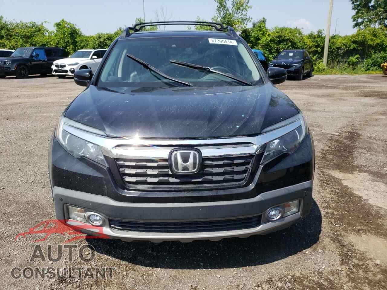 HONDA RIDGELINE 2019 - 5FPYK3F78KB506190