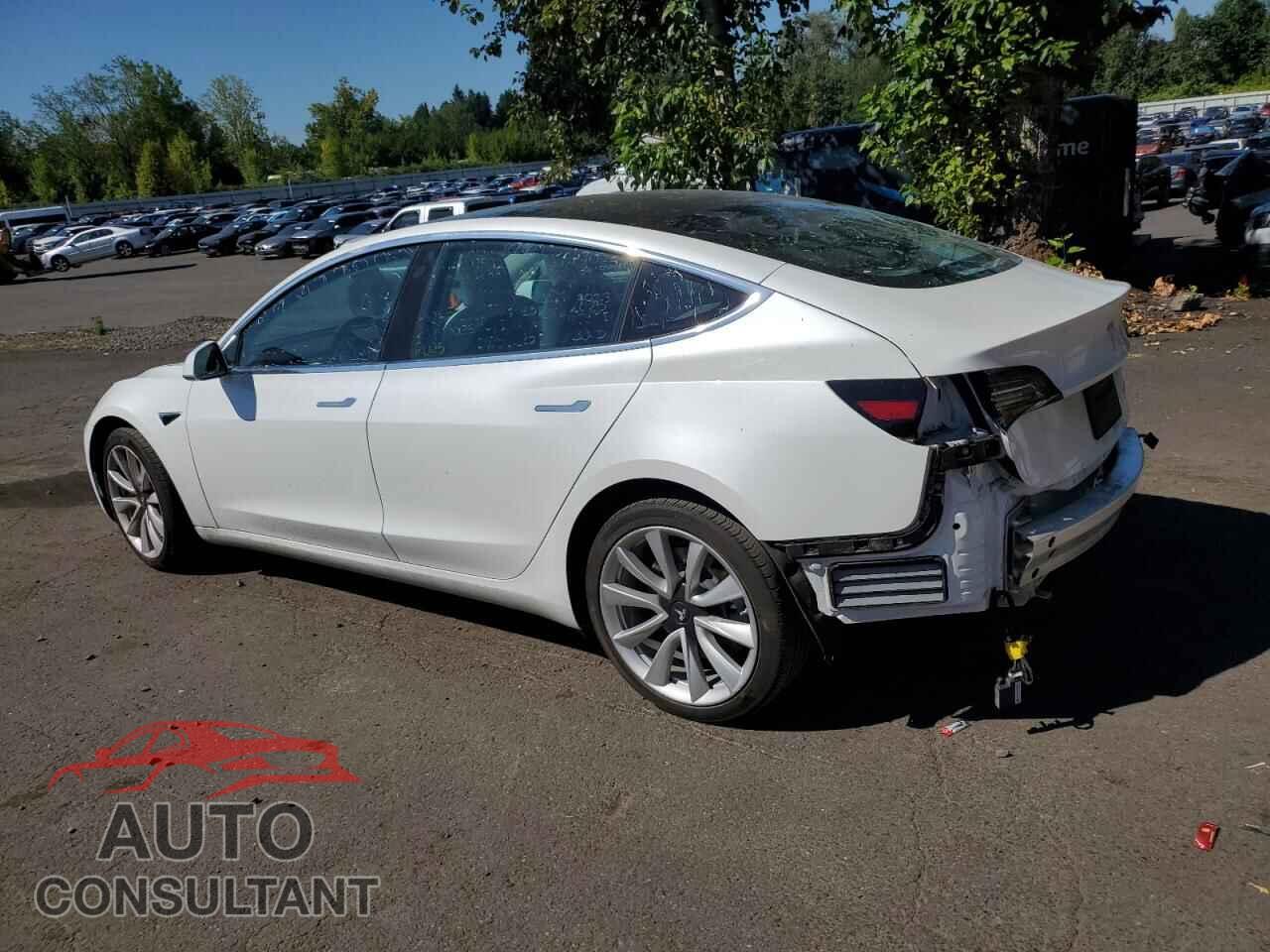 TESLA MODEL 3 2019 - 5YJ3E1EBXKF213928