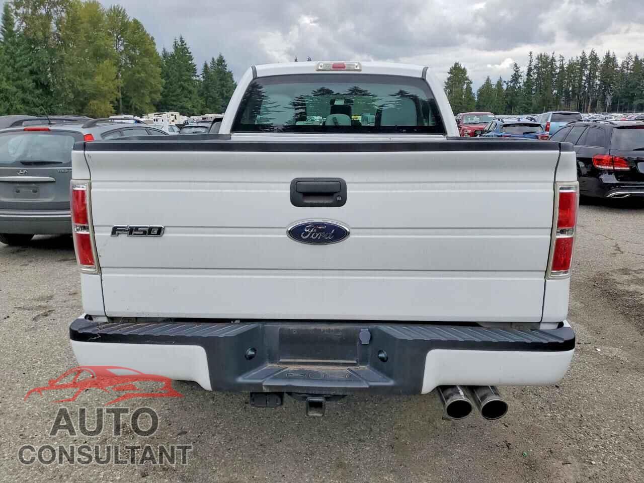 FORD F150 2013 - 1FTFX1EF7DFB26075