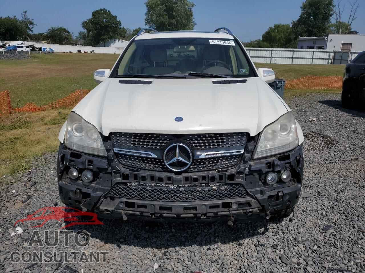 MERCEDES-BENZ GL-CLASS 2010 - 4JGBF7BE0AA593858
