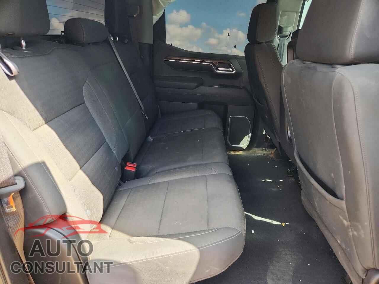 CHEVROLET SILVERADO 2023 - 3GCPDFEK2PG266027