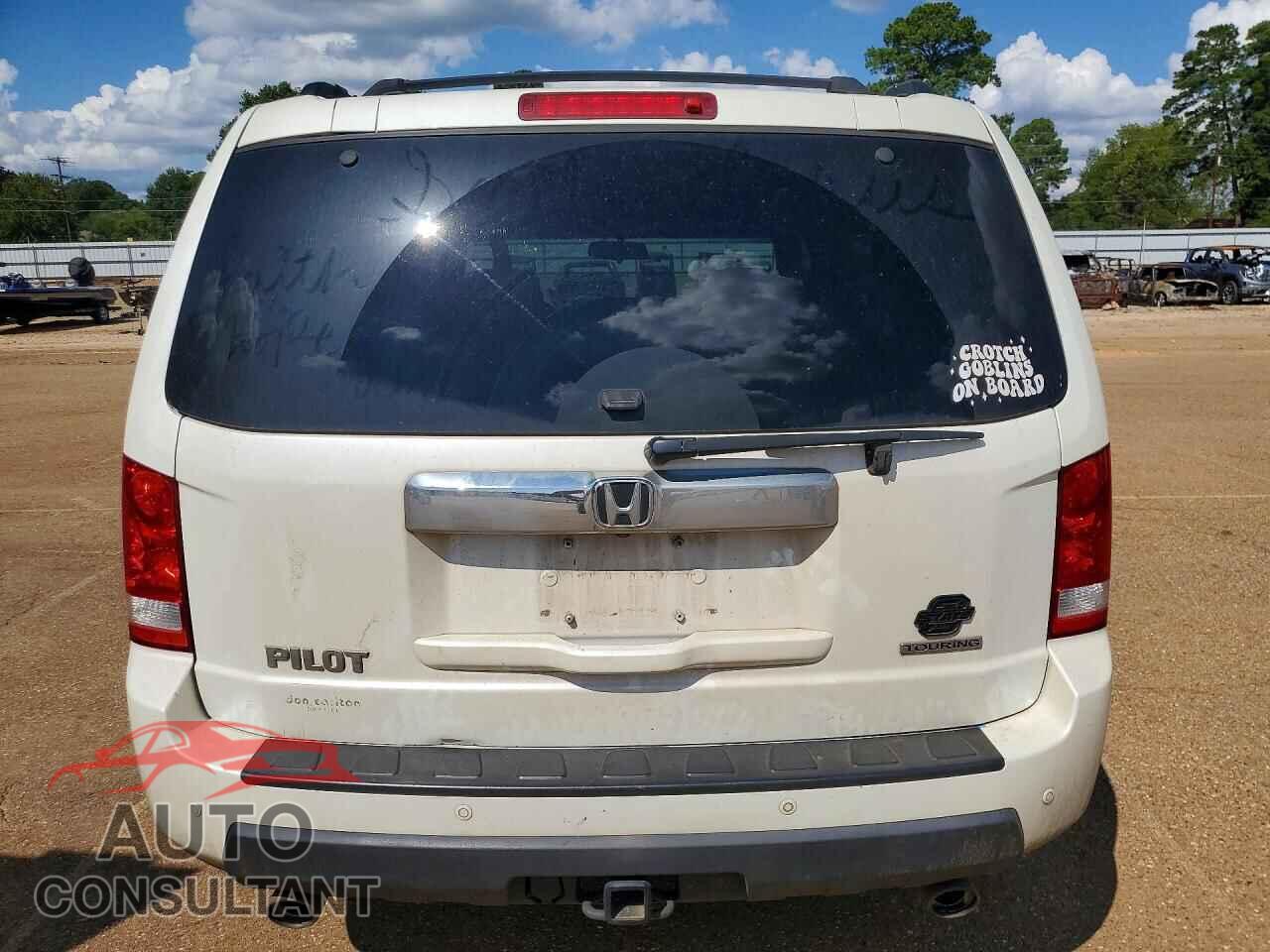 HONDA PILOT 2011 - 5FNYF3H99BB044573