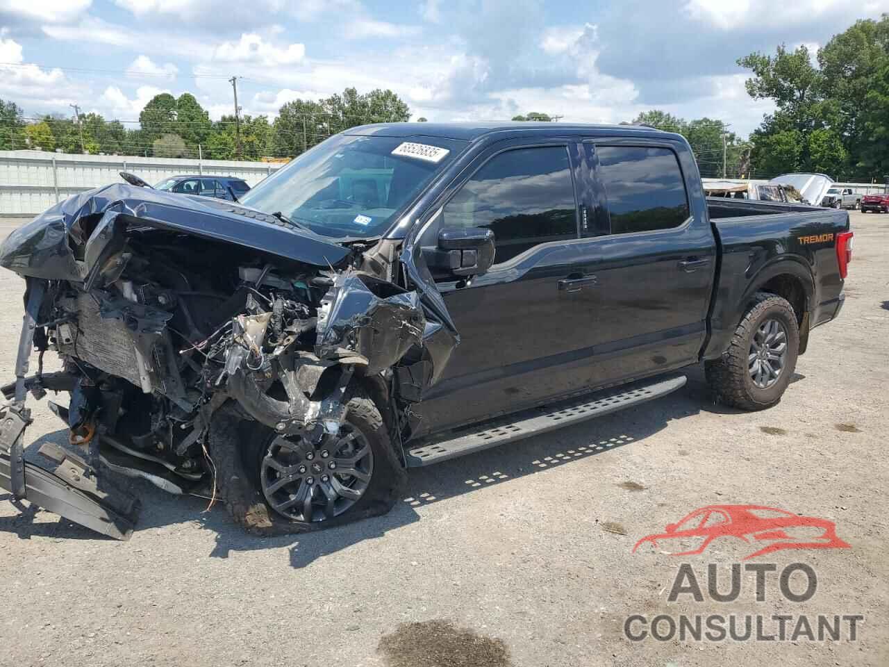 FORD F-150 2023 - 1FTEW1E87PFB93067