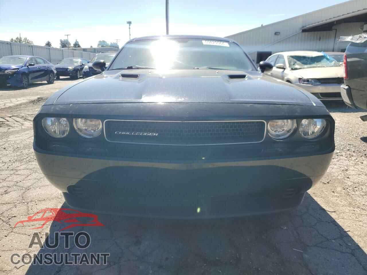 DODGE CHALLENGER 2014 - 2C3CDYAG2EH244901