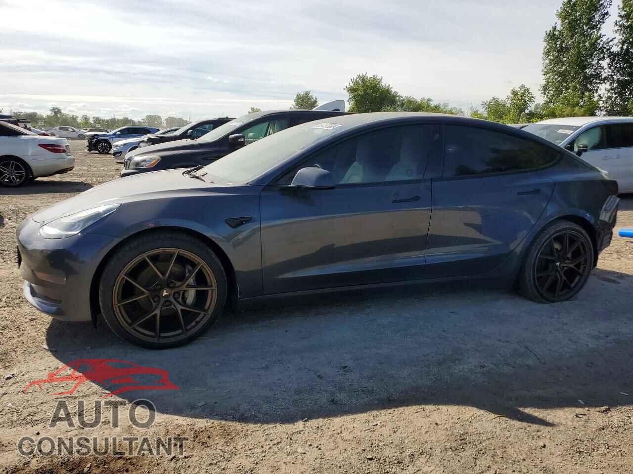 TESLA MODEL 3 2022 - 5YJ3E1EB0NF241306