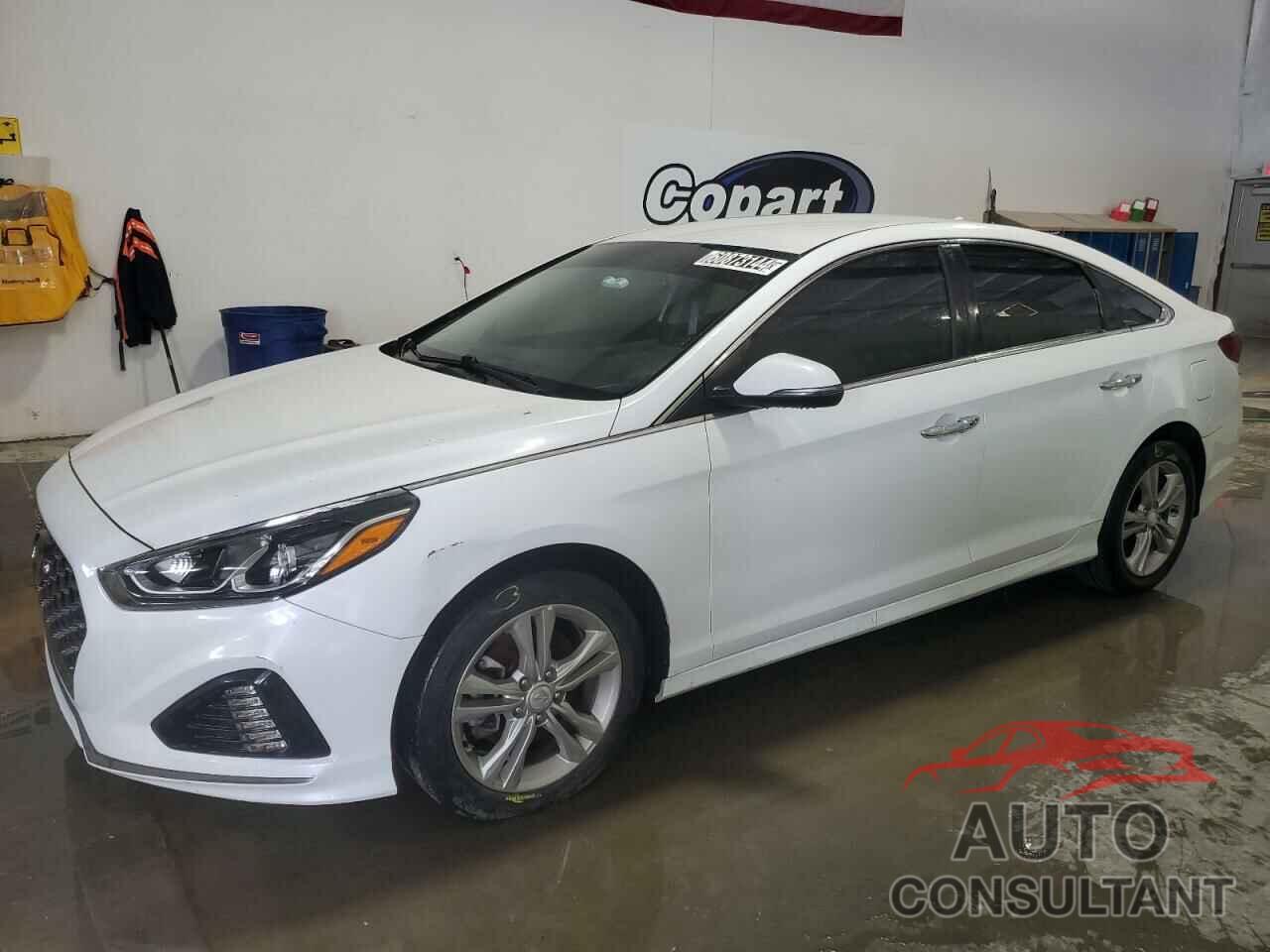 HYUNDAI SONATA 2019 - 5NPE34AF7KH752355