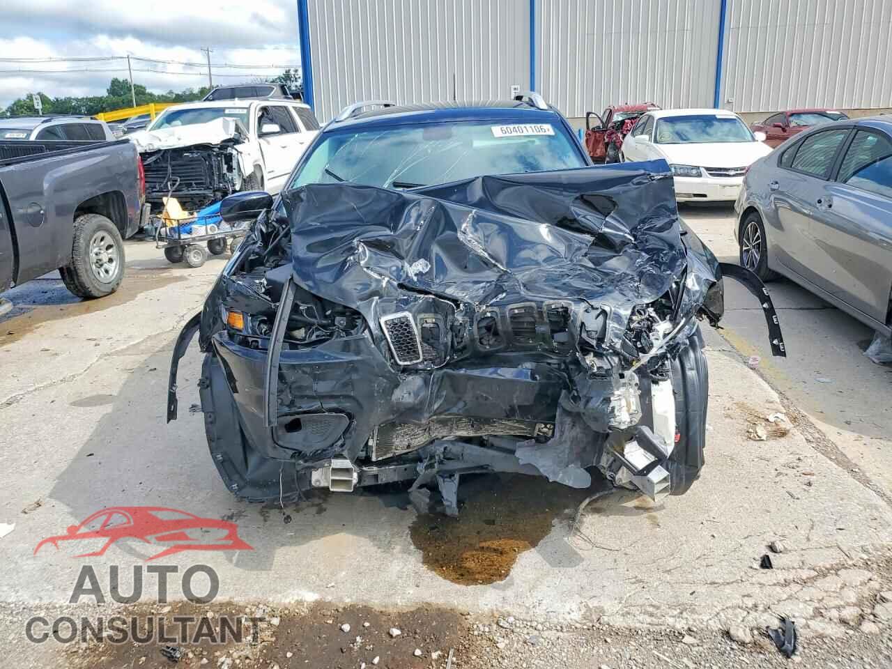 JEEP CHEROKEE 2019 - 1C4PJLLBXKD344330