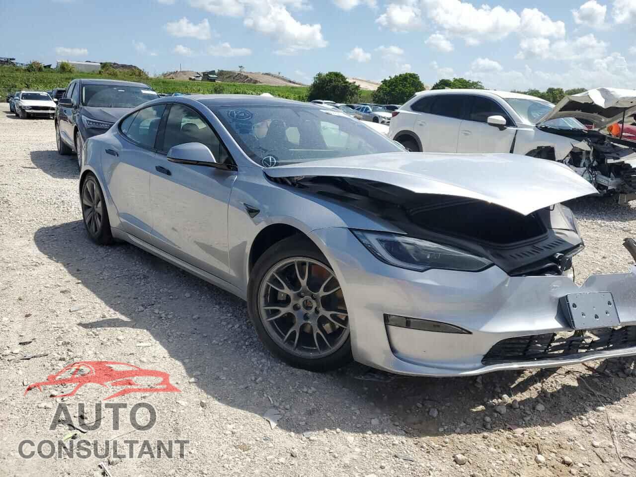 TESLA MODEL S 2025 - 5YJSA1E59SF550995