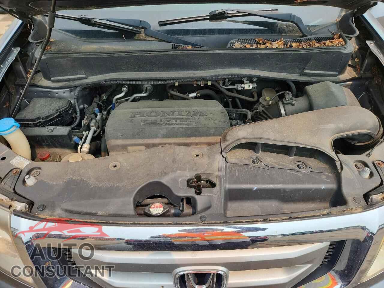 HONDA PILOT 2011 - 5FNYF4H76BB063375