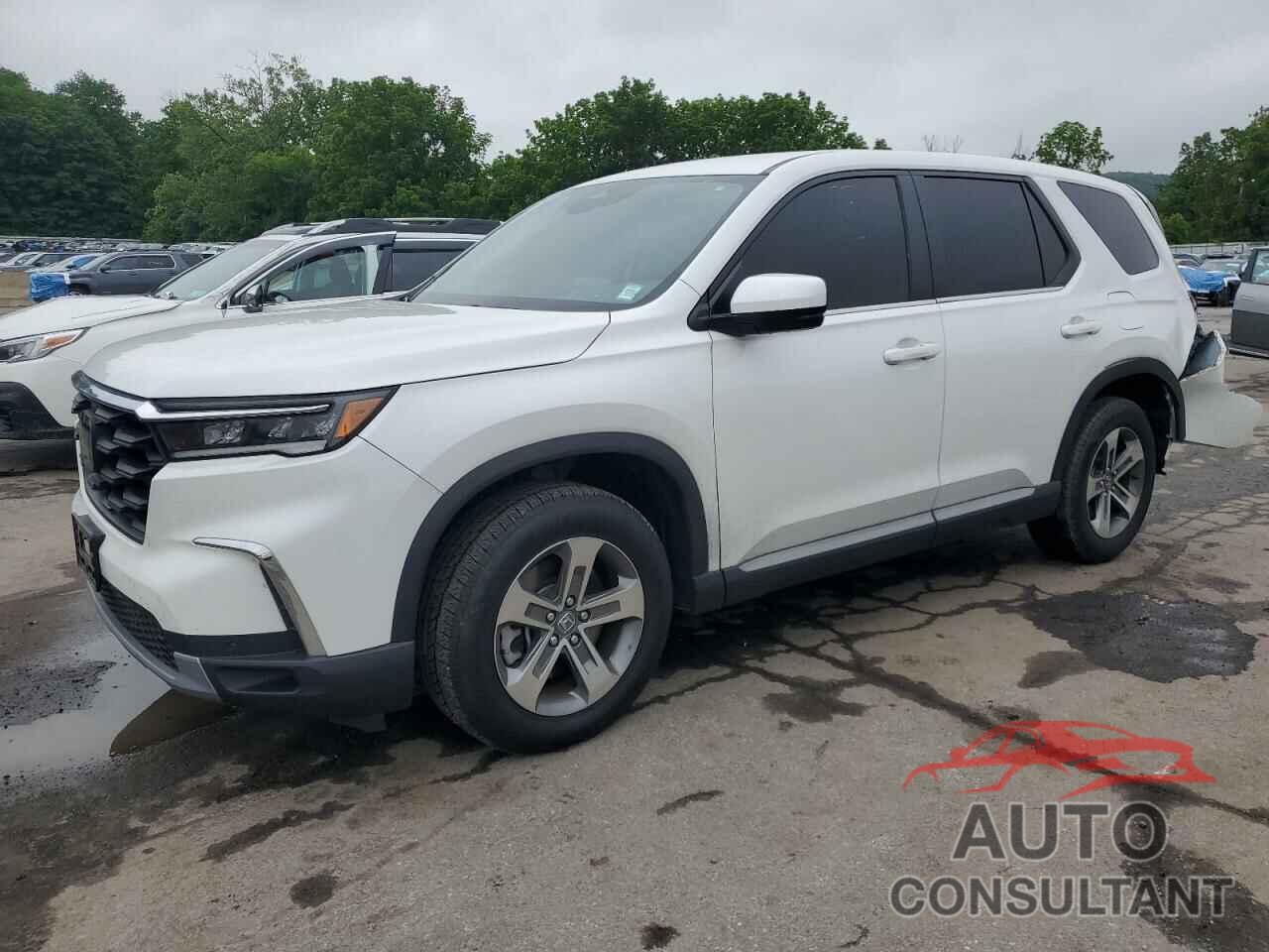 HONDA PILOT 2023 - 5FNYG1H44PB010229