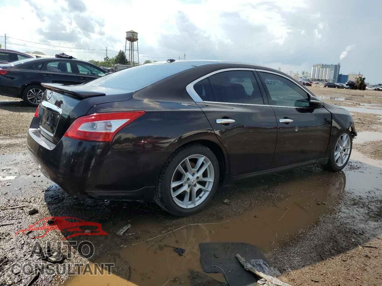 NISSAN MAXIMA 2011 - 1N4AA5AP1BC836885