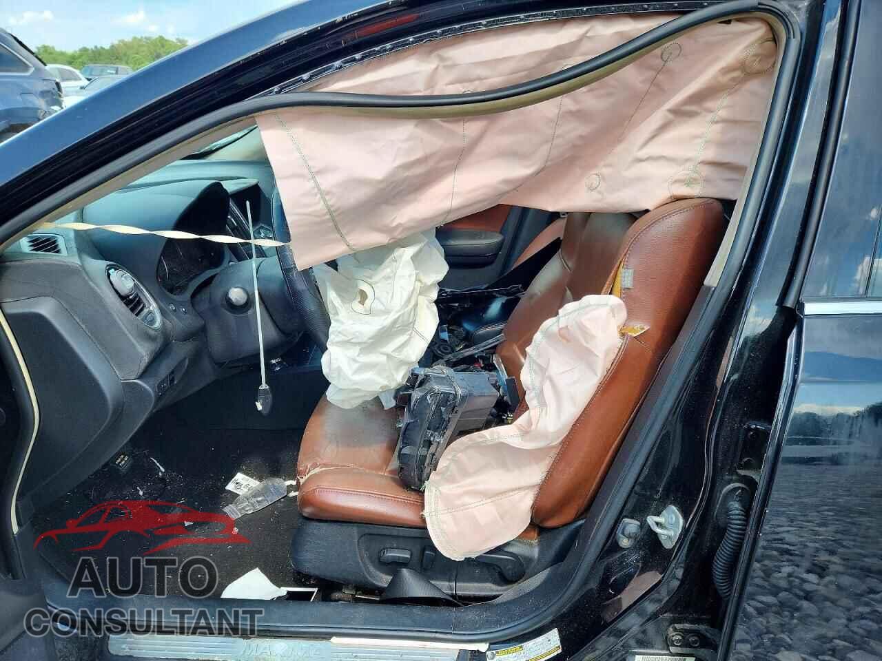 NISSAN MAXIMA 2011 - 1N4AA5AP2BC815656