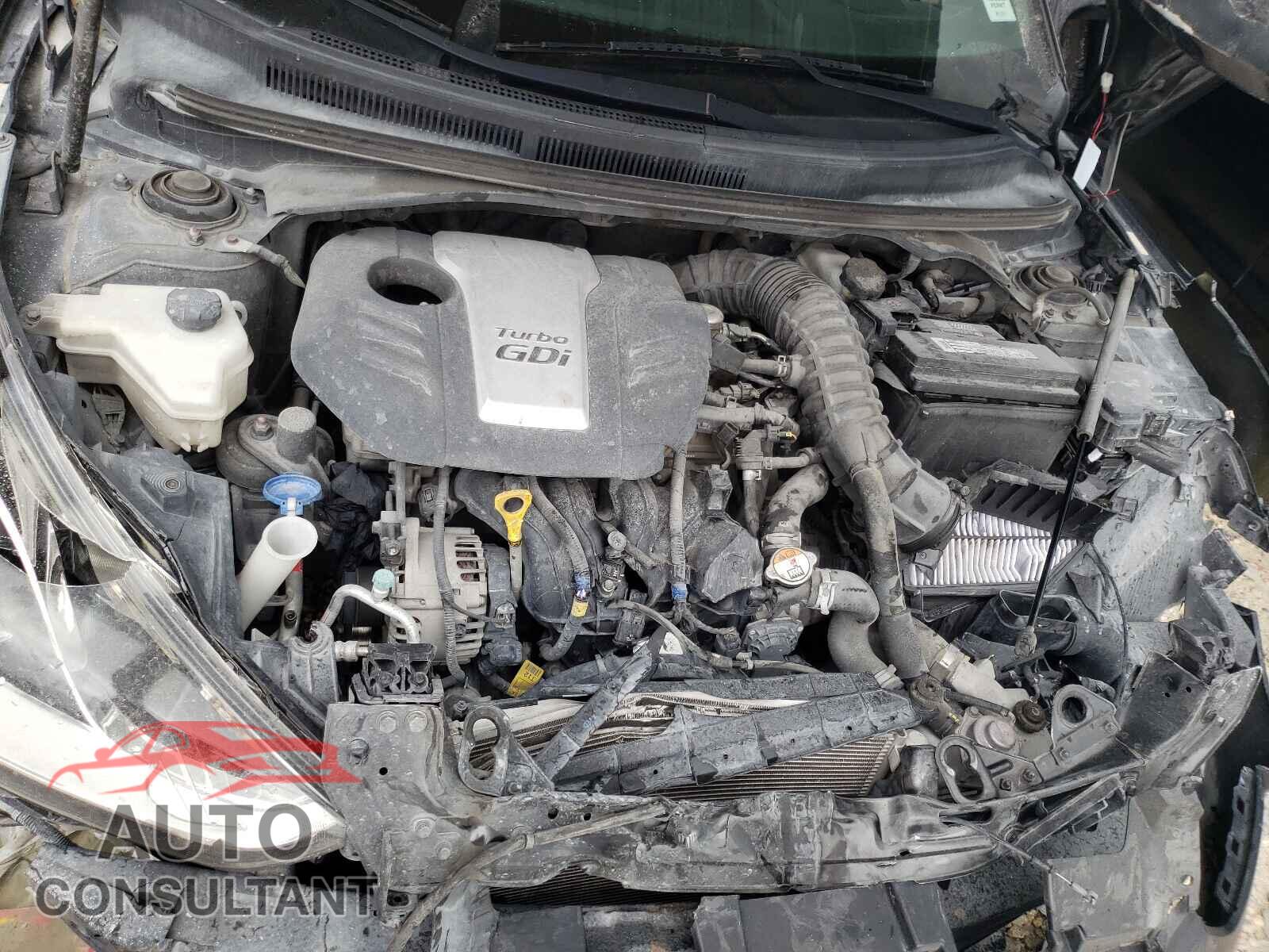 HYUNDAI VELOSTER 2016 - KMHTC6AE0GU274444