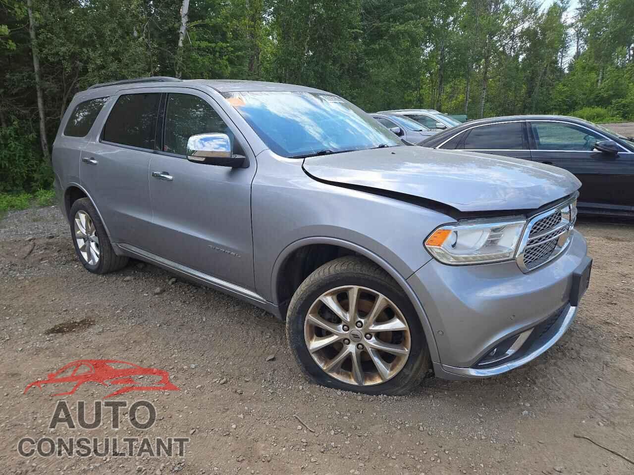 DODGE DURANGO 2019 - 1C4RDJEGXKC624896