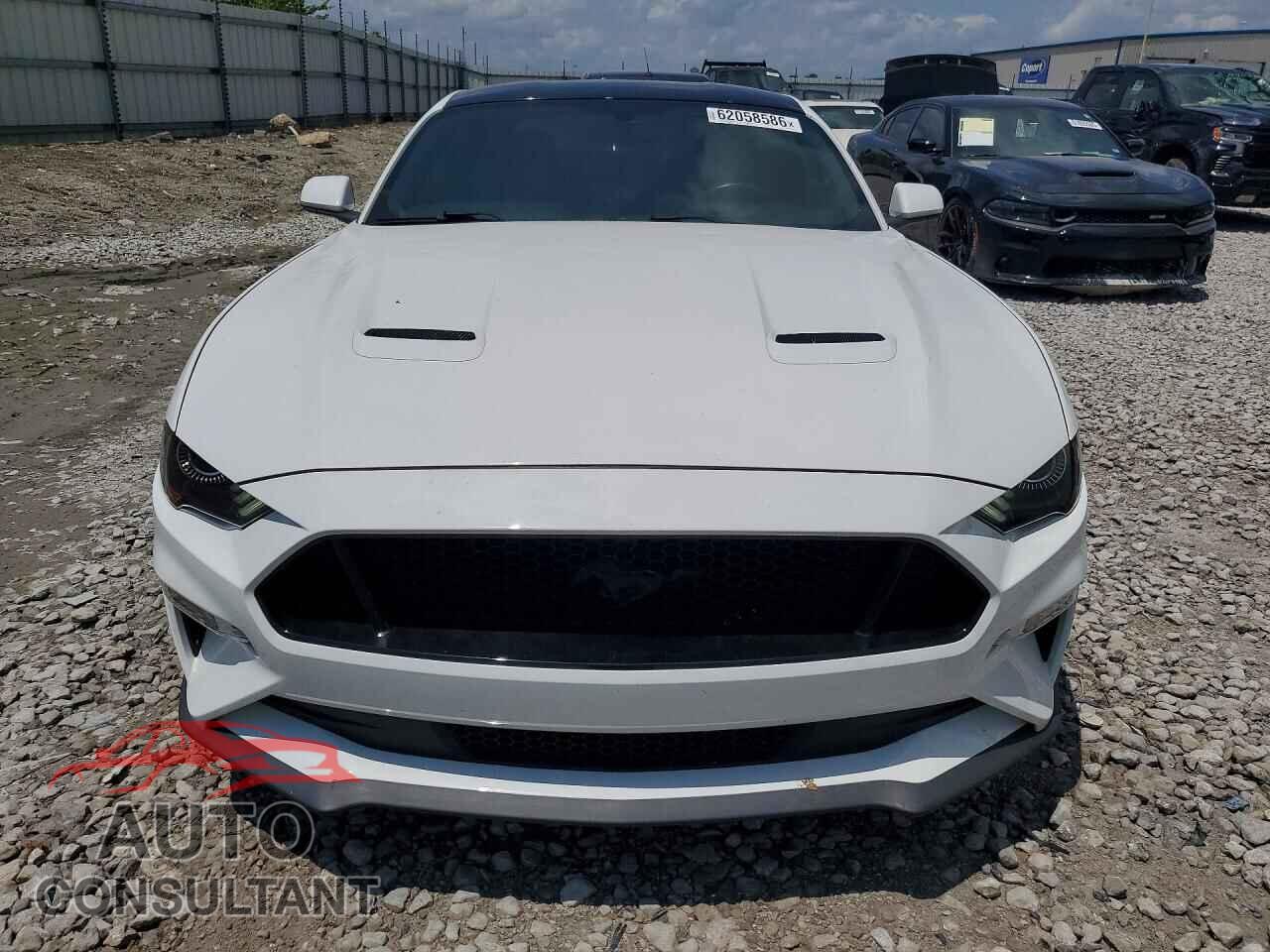FORD MUSTANG 2019 - 1FA6P8CF5K5124152