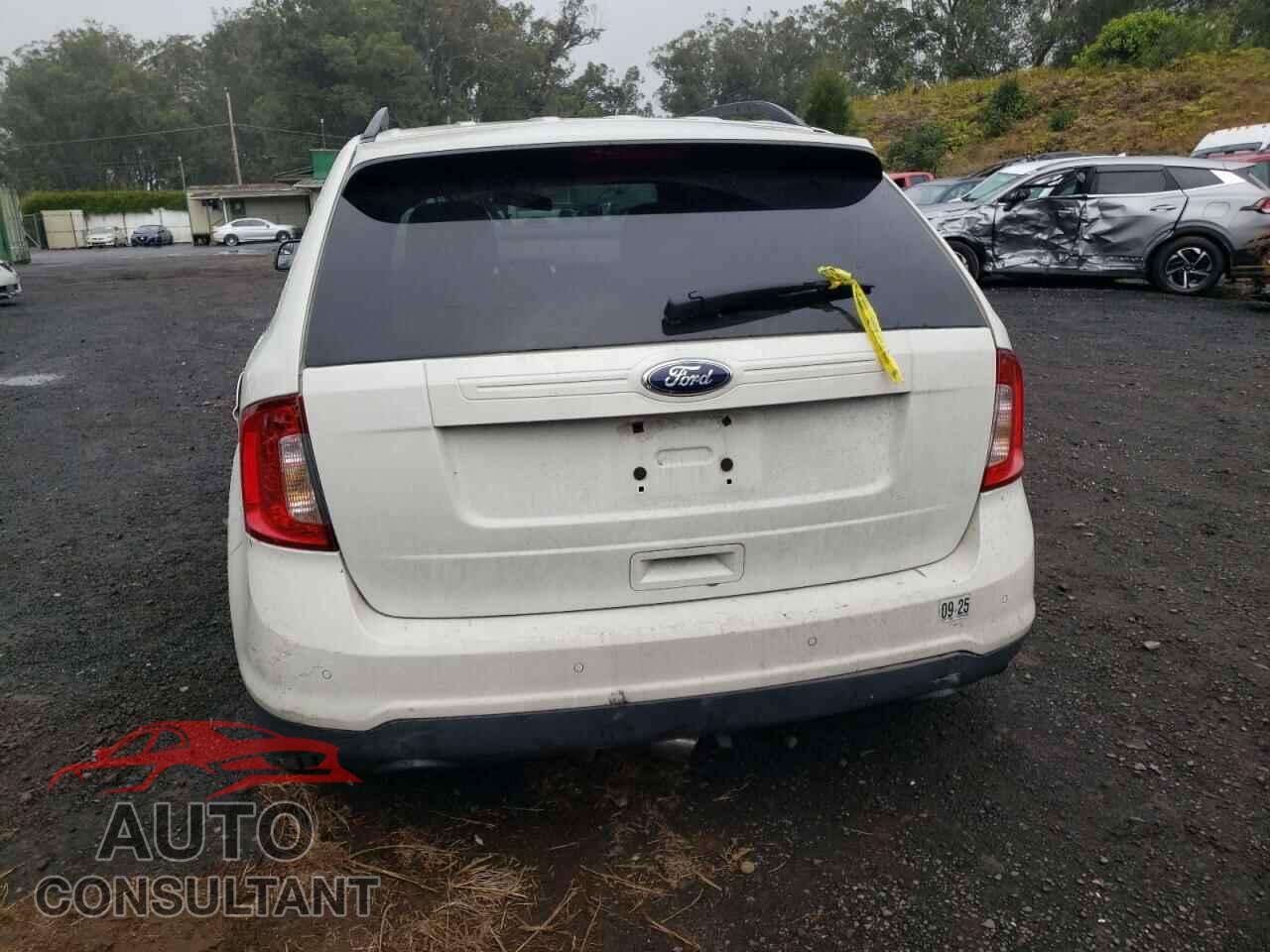 FORD EDGE 2013 - 2FMDK3G91DBB22335
