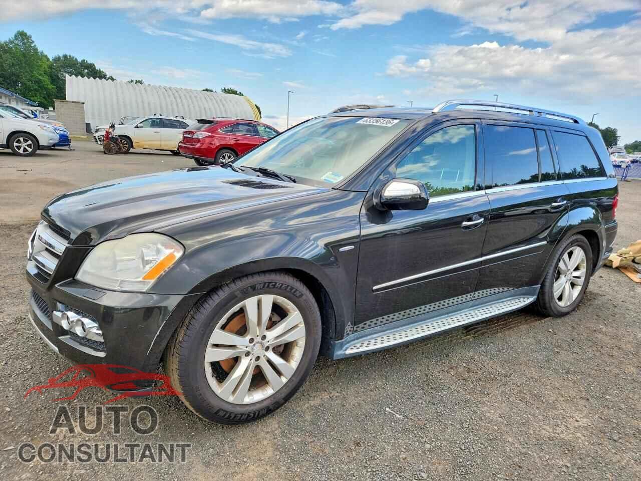 MERCEDES-BENZ GL-CLASS 2010 - 4JGBF2FEXAA615474