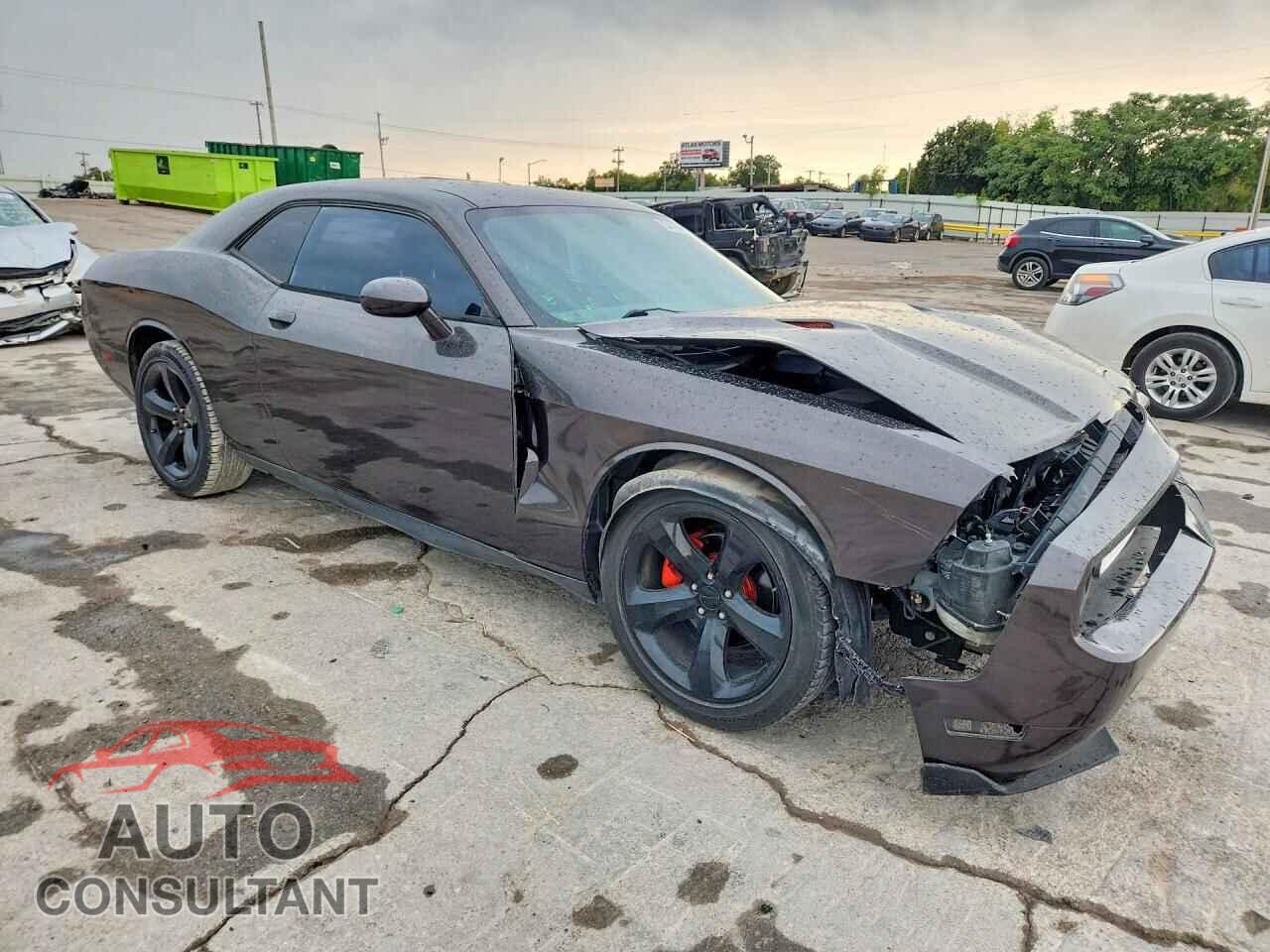 DODGE CHALLENGER 2013 - 2C3CDYAG9DH665979