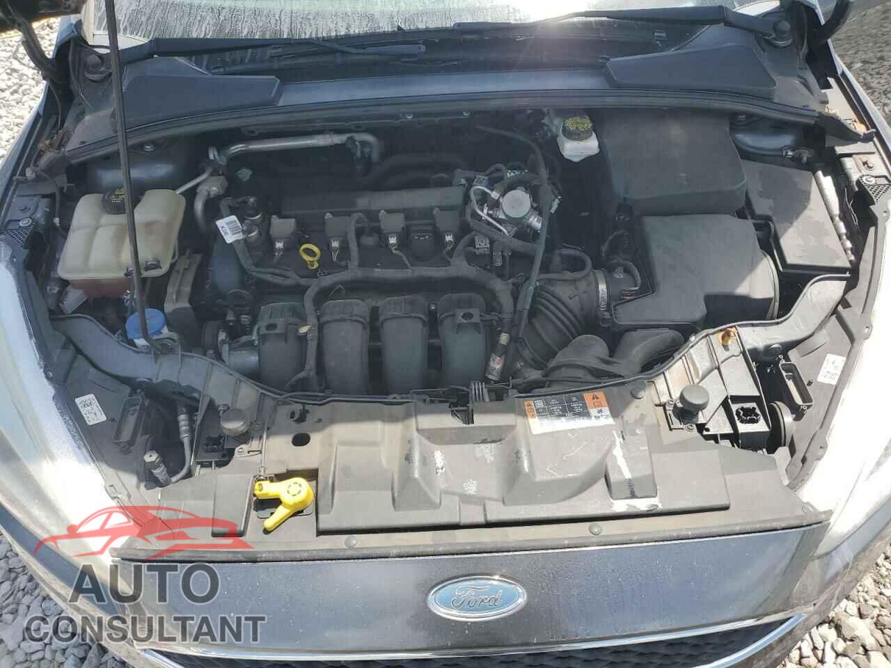 FORD FOCUS 2017 - 1FADP3E2XHL345478