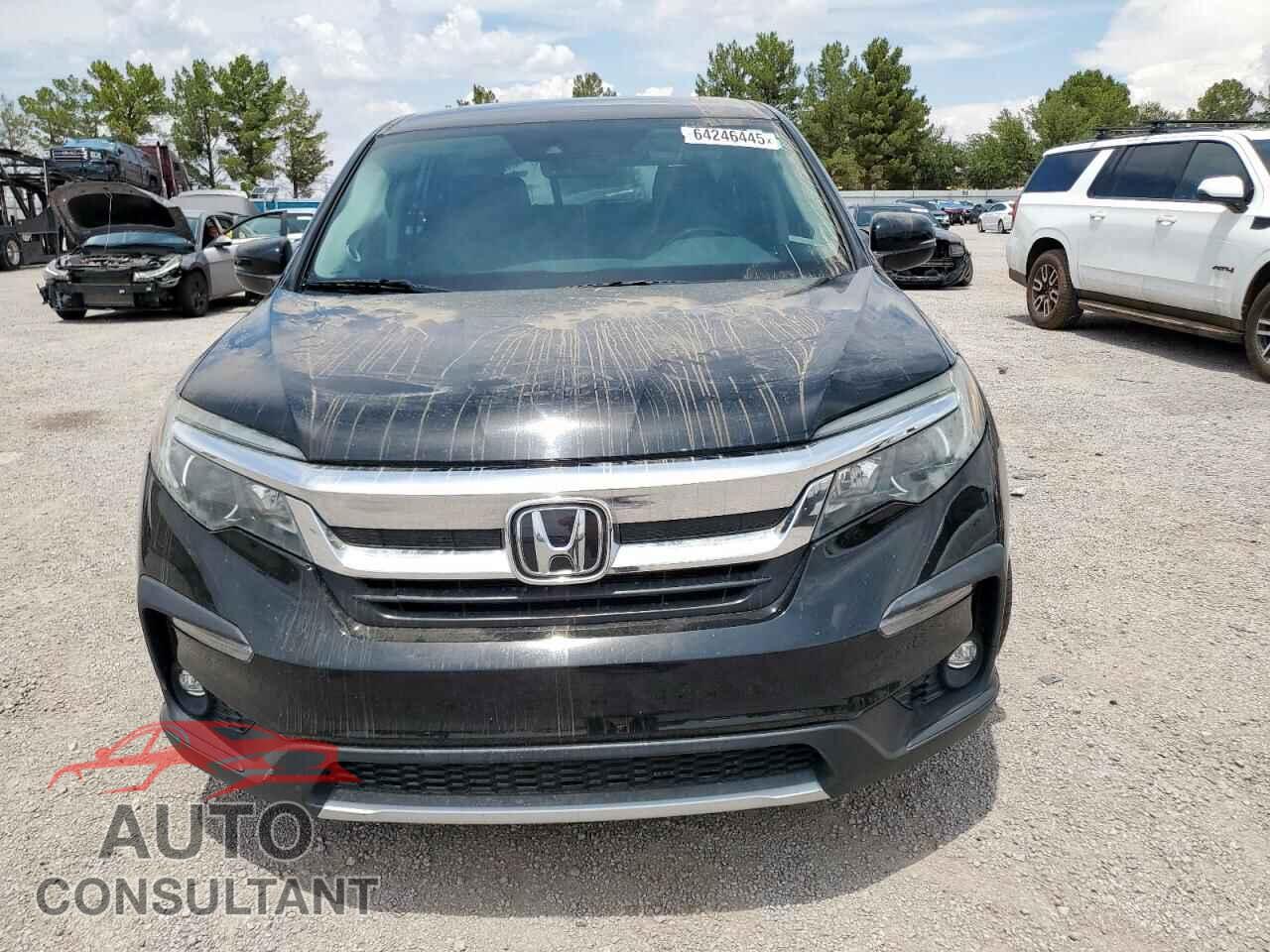 HONDA PILOT 2019 - 5FNYF5H54KB044201
