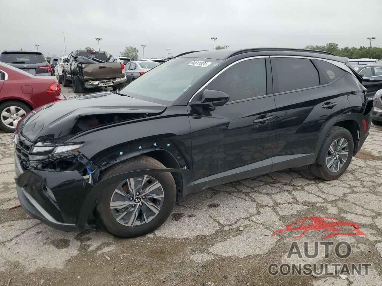 HYUNDAI TUCSON 2024 - KM8JBCD19RU160205