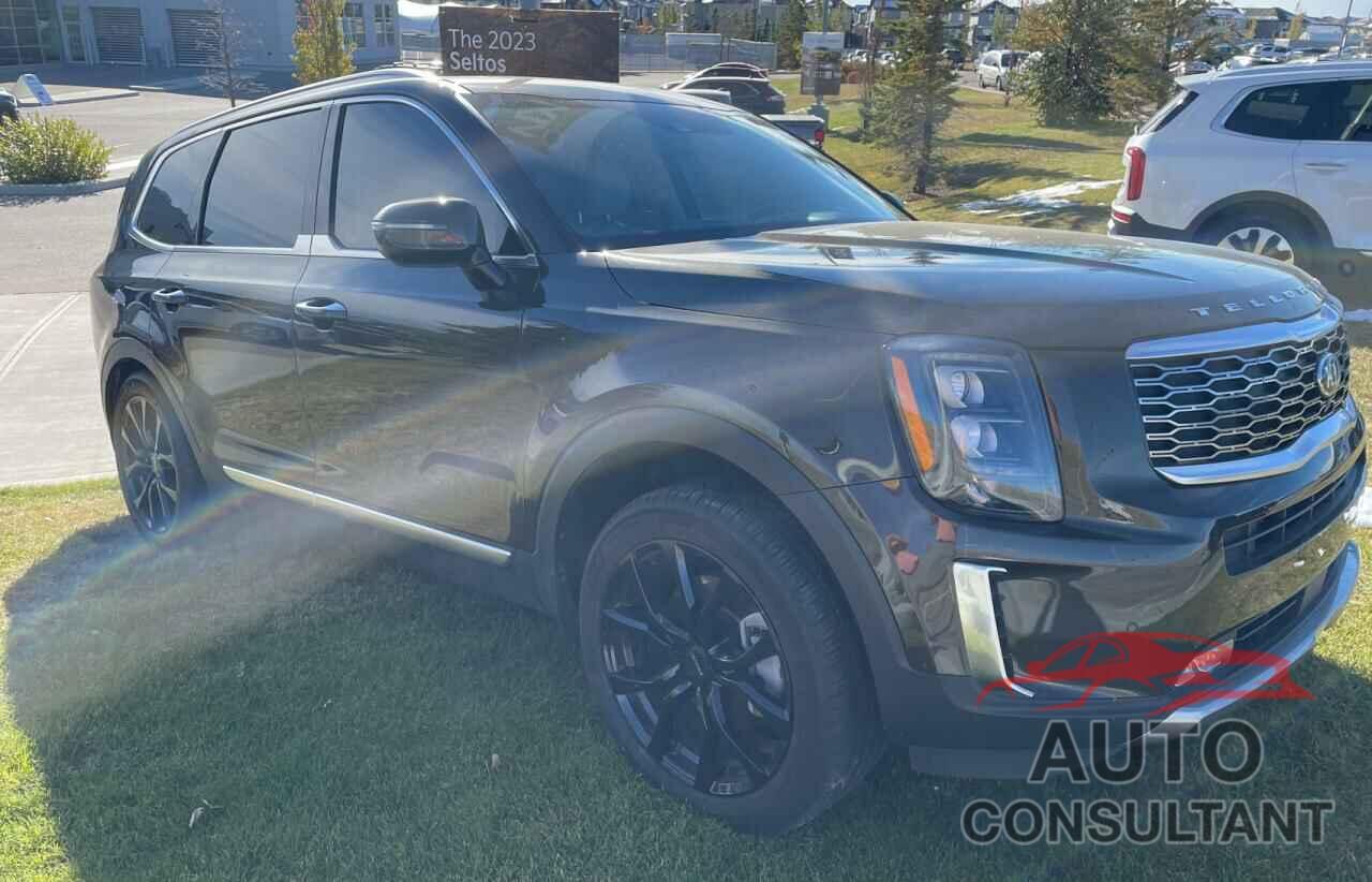 KIA TELLURIDE 2020 - 5XYP5DHC2LG086951