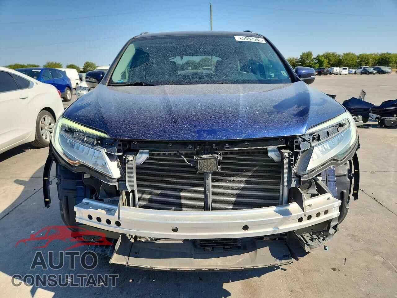 HONDA PILOT 2019 - 5FNYF6H06KB008357