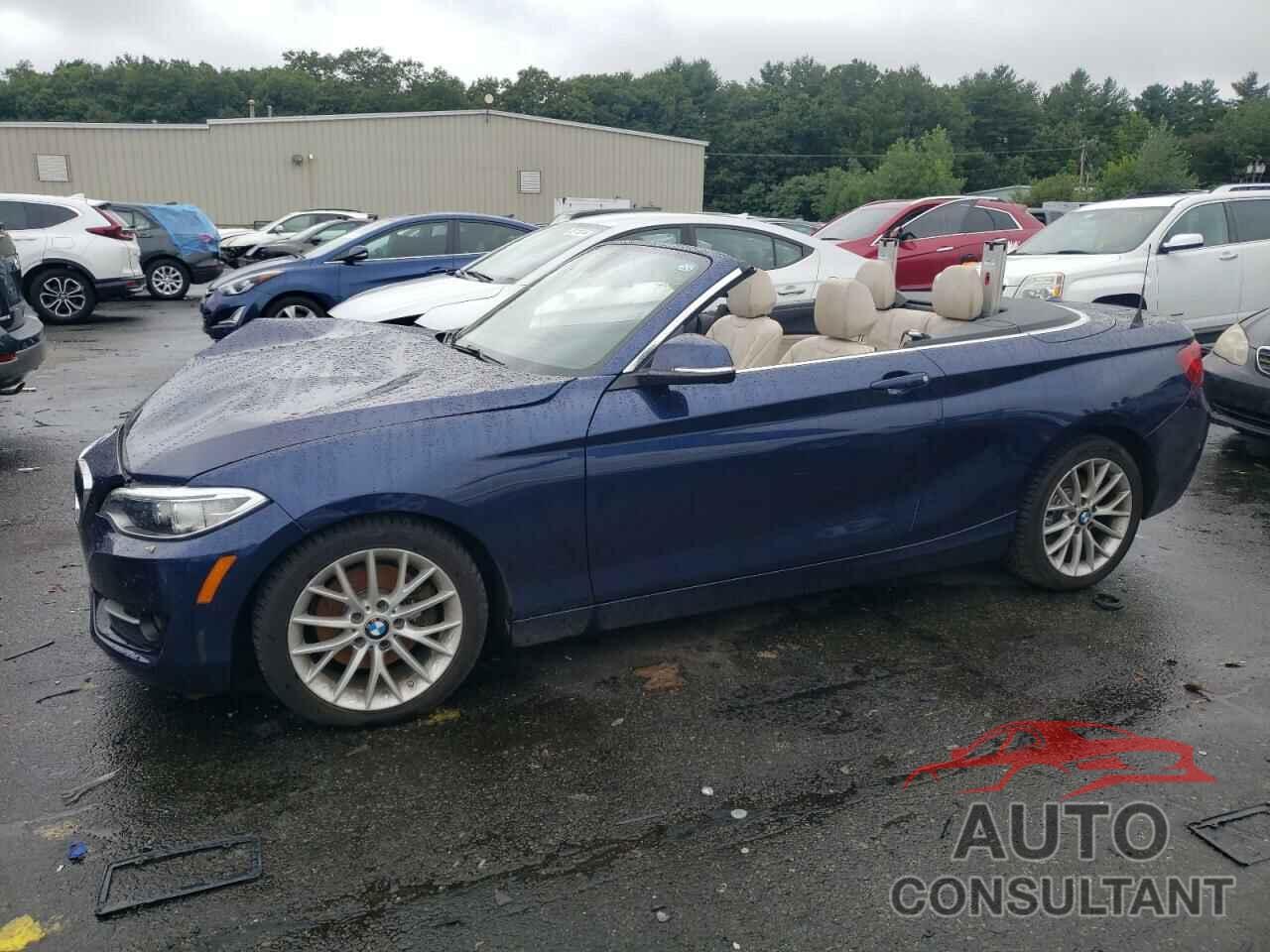 BMW 2 SERIES 2016 - WBA1L9C51GV324320