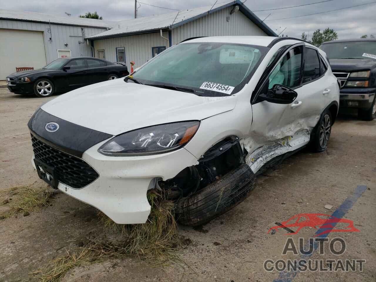 FORD ESCAPE 2021 - 1FMCU9H96MUA01219