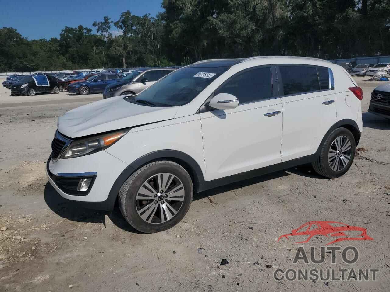 KIA SPORTAGE 2016 - KNDPC3AC4G7836573