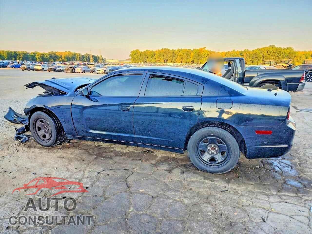 DODGE CHARGER 2013 - 2C3CDXAT5DH693155