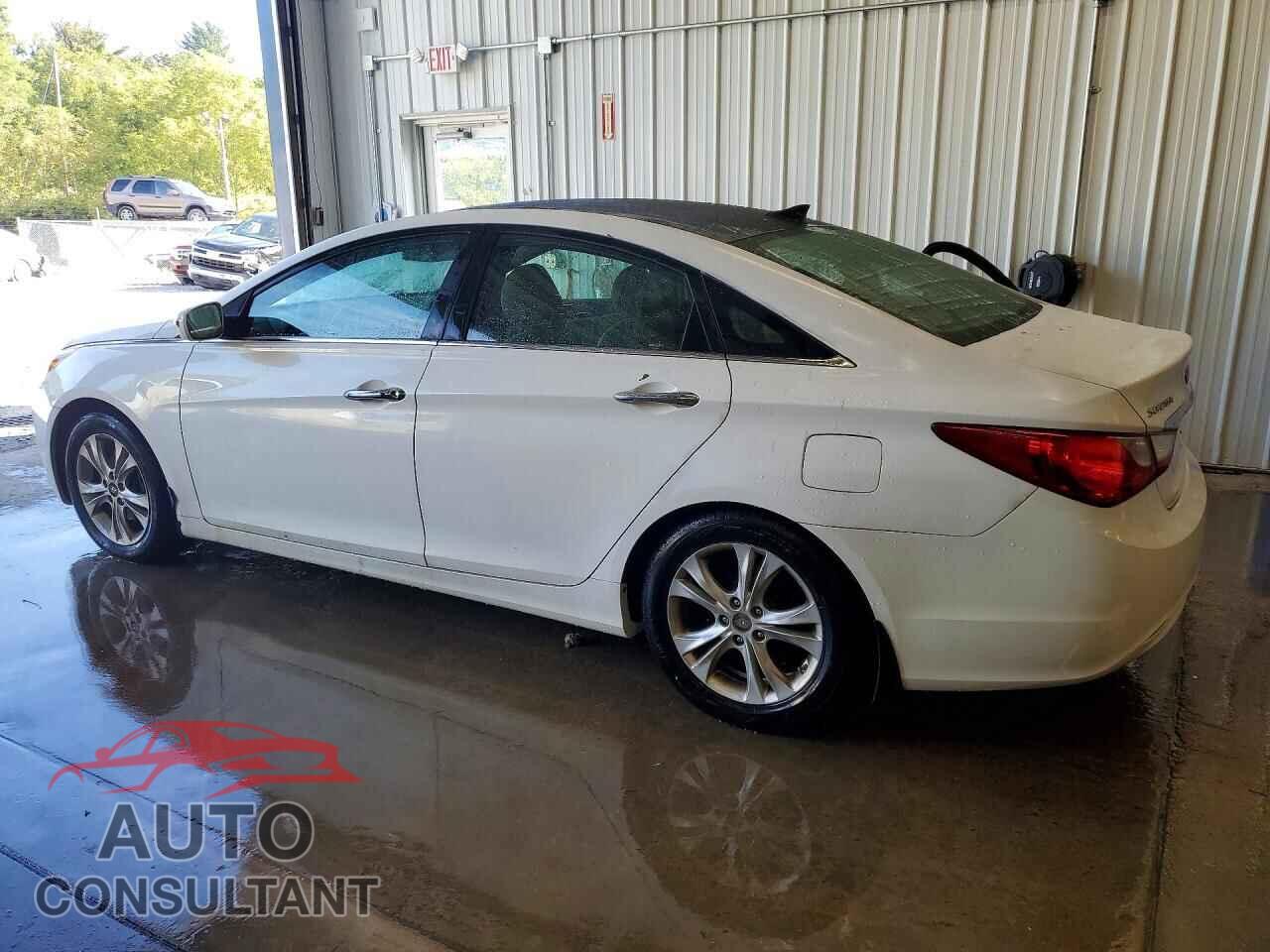 HYUNDAI SONATA 2013 - 5NPEC4AC2DH651135