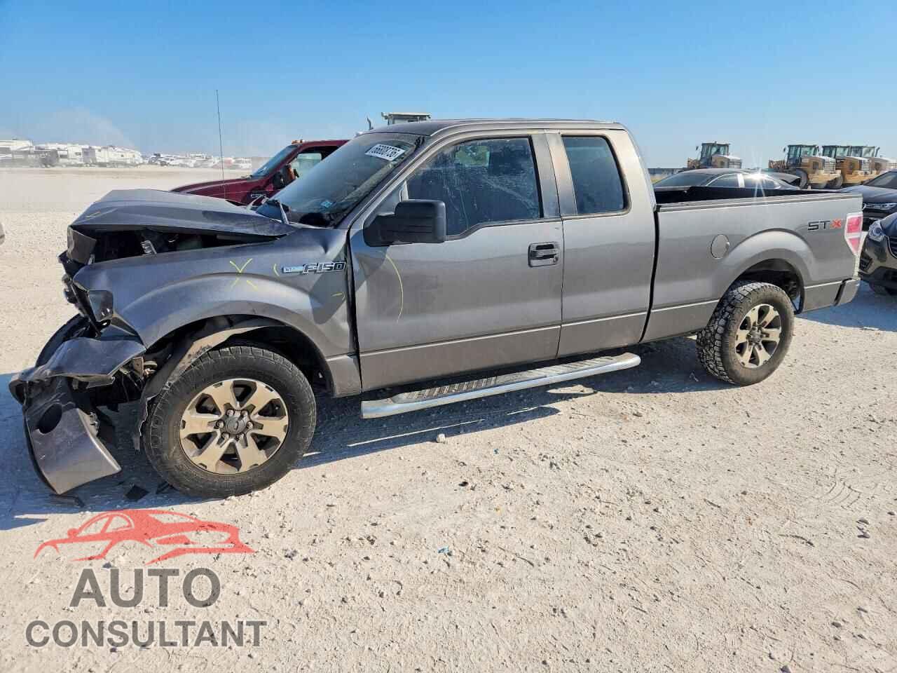 FORD F150 2013 - 1FTFX1CF5DFD81925